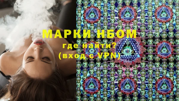гидра Арсеньев
