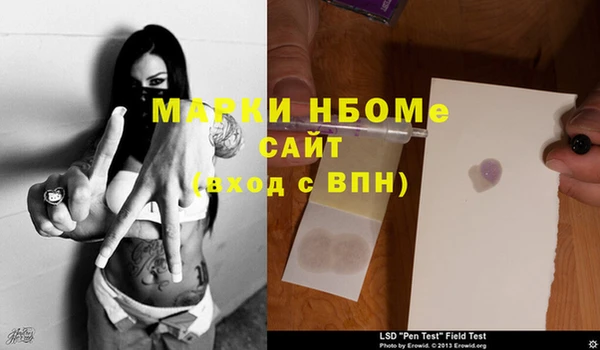 ешки Аркадак