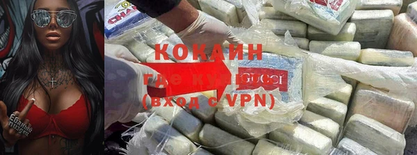 ешки Аркадак