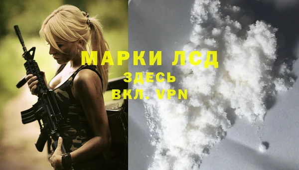 стафф Богородицк